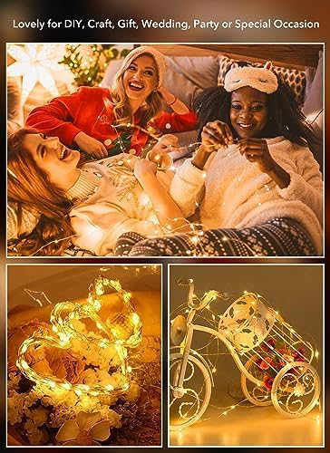 Fairy Lights Waterproof Silver Wire Firefly Starry Moon Lights